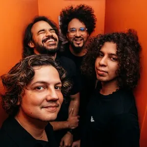 Selvagens à Procura De Lei